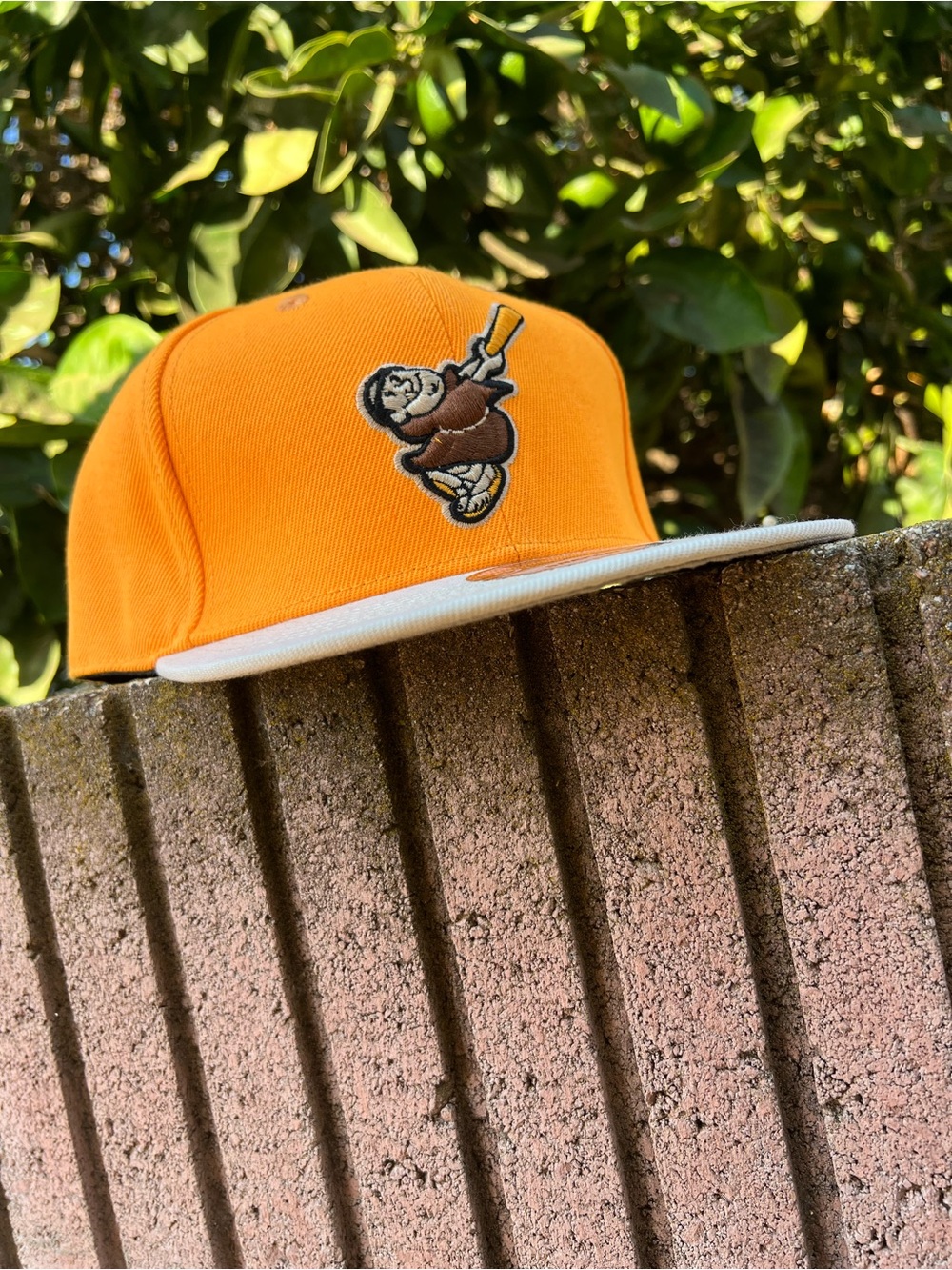 SAN DIEGO PADRES SNAPBACK HAT